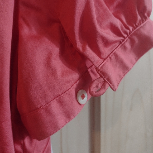 Three Banana Republic button downs - Picture 6 of 12